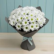 Букет цветов из:  Хризантемы в Черногорске