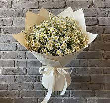 Букет цветов из:  Ромашки #REPLACE_PRED# Черногорске