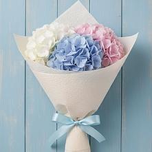 Букет цветов из:  Гортензия в Черногорске
