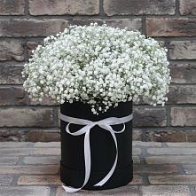 Цветочная композиция из Гипсофила в шляпной коробке в Черногорске