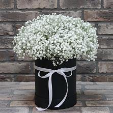 Цветочная композиция из Гипсофила в шляпной коробке в Черногорске
