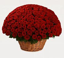 Премиум букет из: Розы в Черногорске